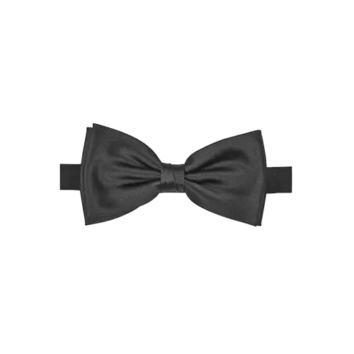 Listevisningsbilde for kategorien Sløyfer