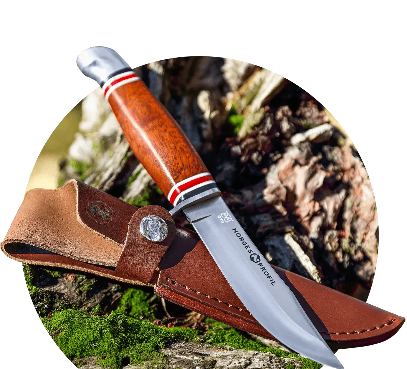 Hovedbilde for kategorien Tur og Fritid