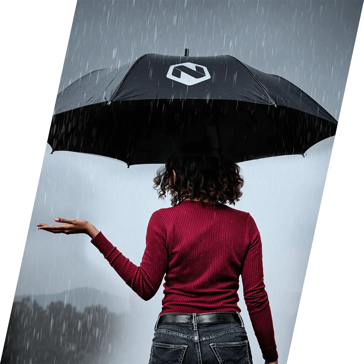 Hovedbilde for kategorien Paraplyer