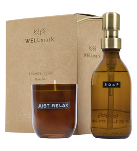 Produktbilde for WELLmark Discovery 200 ml  Bambusduft Sett med Håndsåpe og 150 g Duftlys 