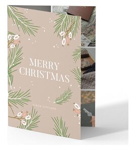 Produktbilde for Veya Nobel Gavekort